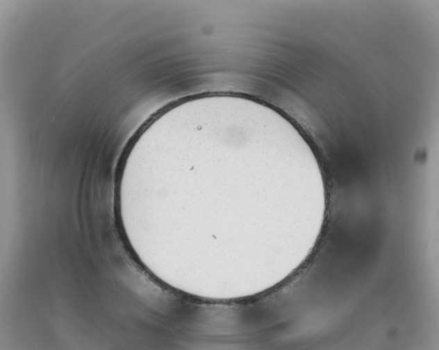 X0000092100836200709191305