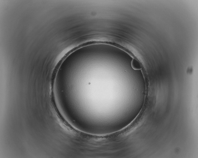 X0000092100837200709191305