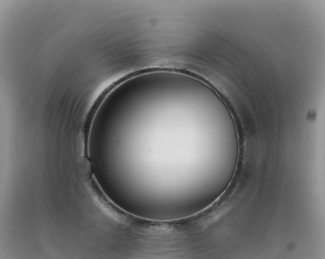 X0000092100838200709191305