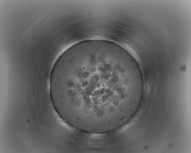 X0000092100839200709191305