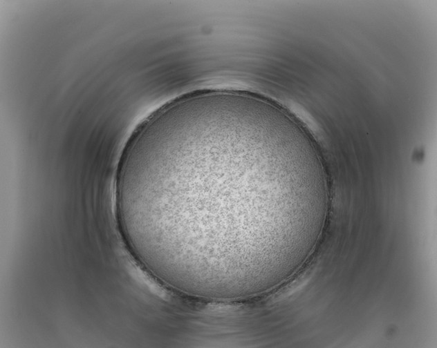 X0000092100840200709191305