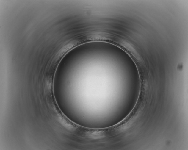 X0000092100841200709191305