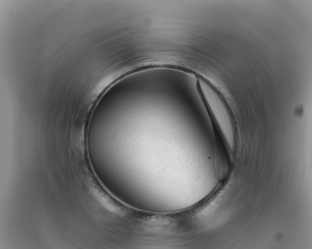 X0000092100842200709191305