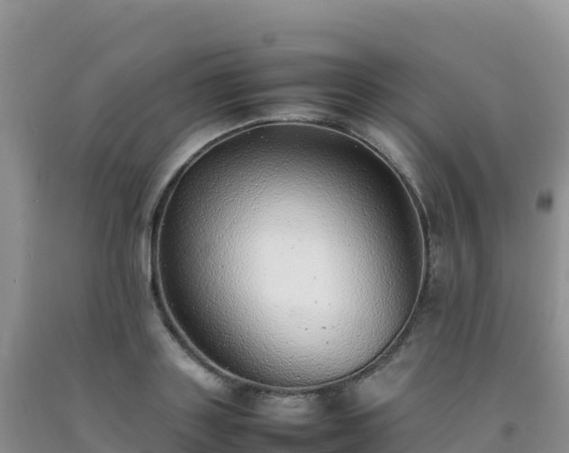 X0000092100843200709191305