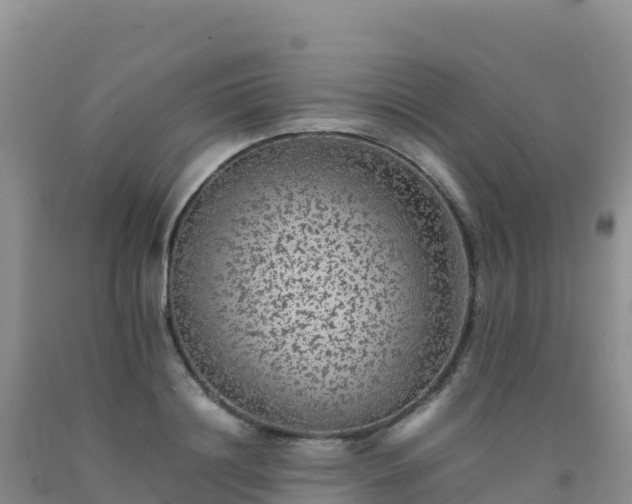 X0000092100844200709191305