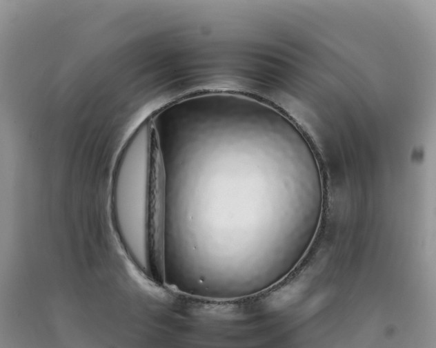 X0000092100845200709191305