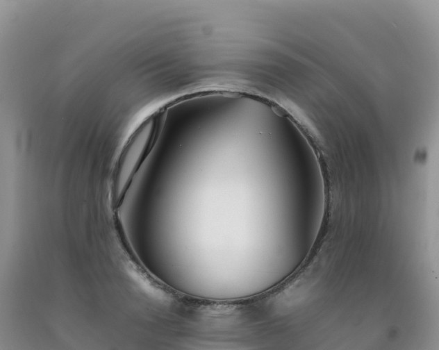 X0000092100846200709191305