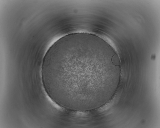 X0000092100847200709191305