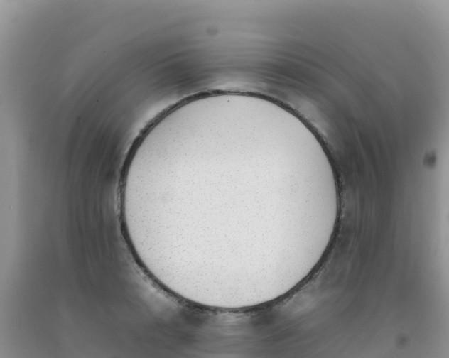 X0000092100848200709191305