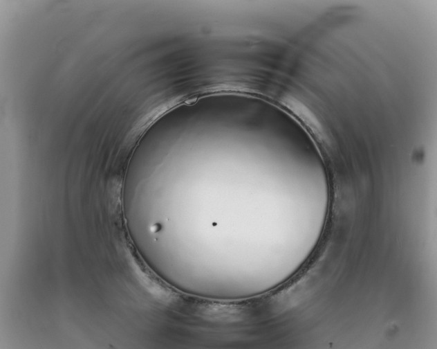 X0000092100849200709191305