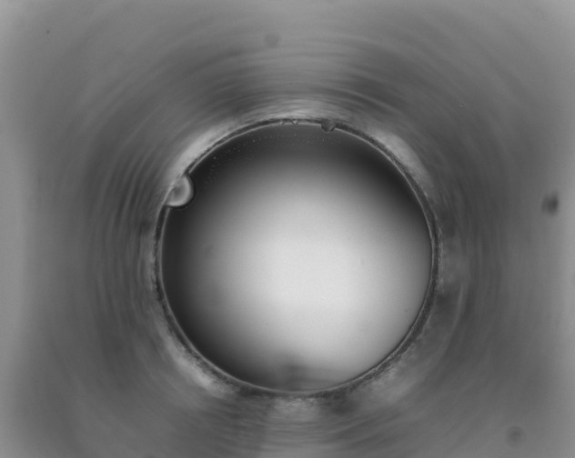 X0000092100850200709191305