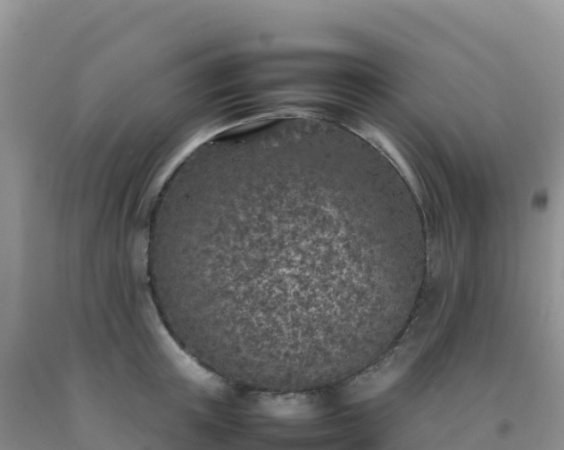 X0000092100851200709191305