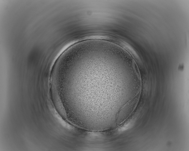 X0000092100852200709191305