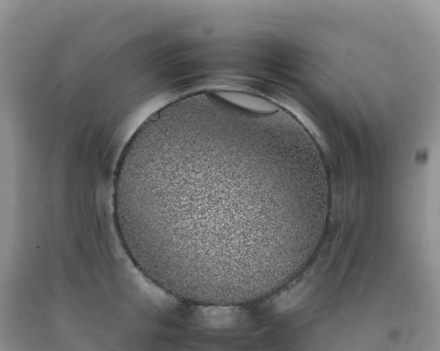 X0000092100853200709191305