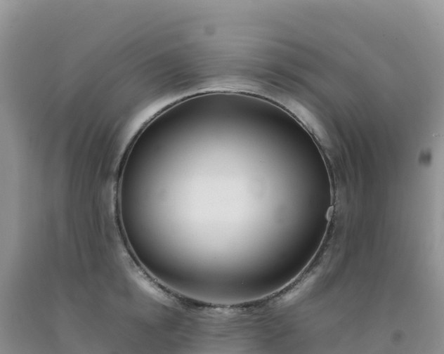 X0000092100854200709191305