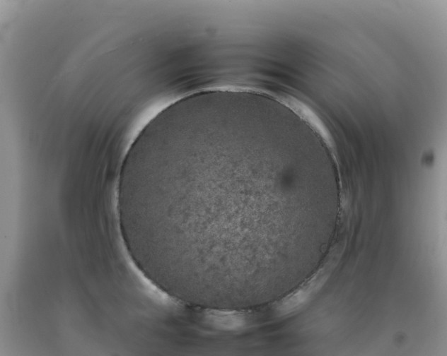 X0000092100855200709191305