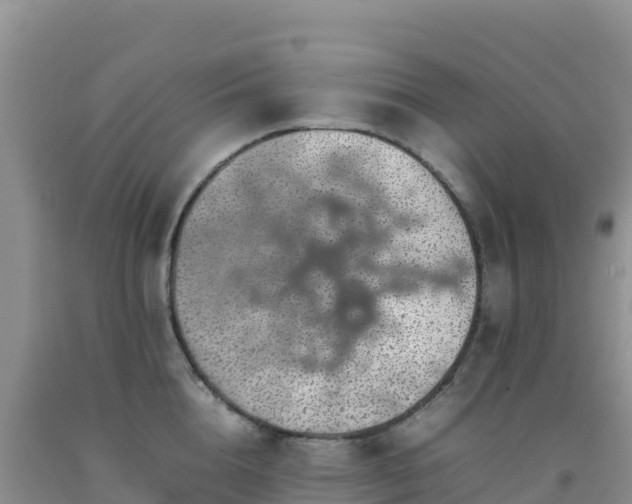 X0000092100856200709191305