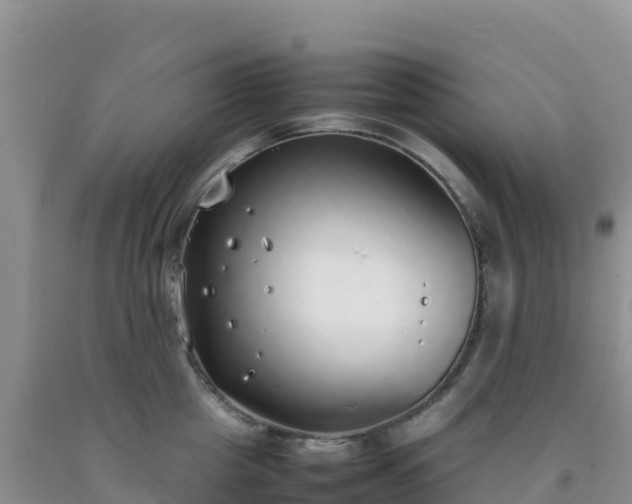 X0000092100857200709191305