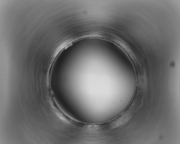 X0000092100858200709191305