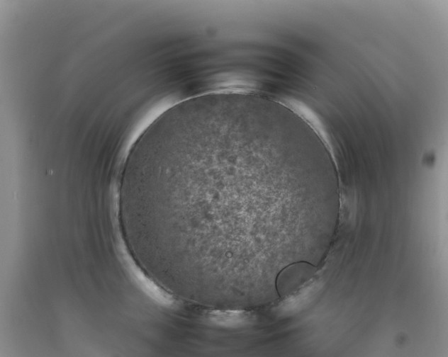 X0000092100859200709191305