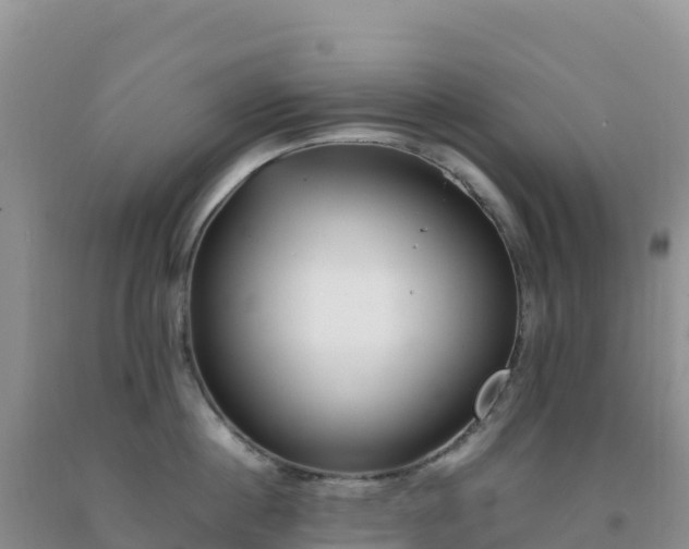 X0000092100860200709191305