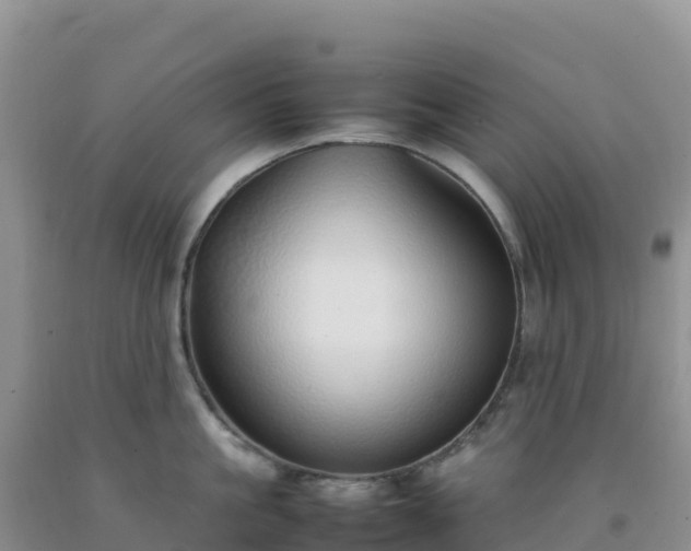 X0000092100861200709191305