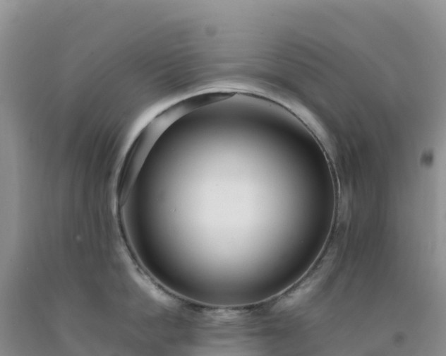 X0000092100862200709191305