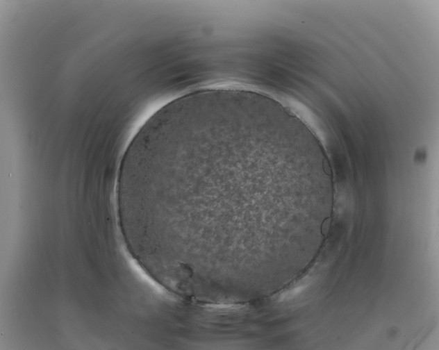 X0000092100863200709191305