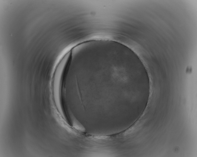 X0000092100864200709191305