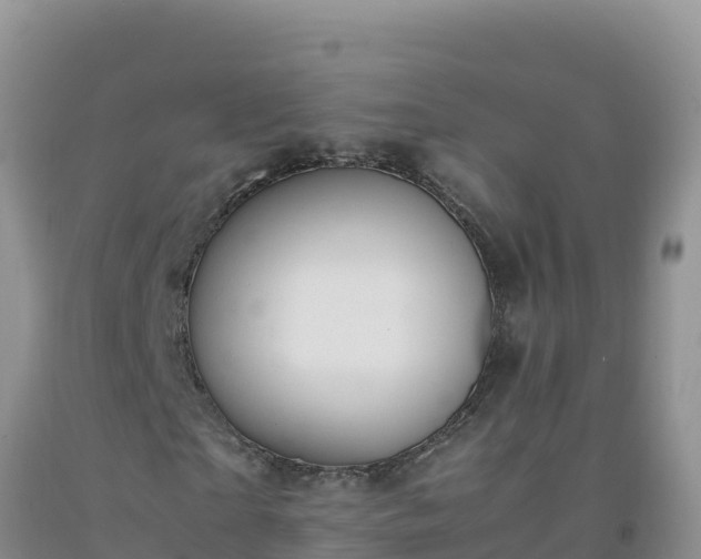 X0000092100865200709191305