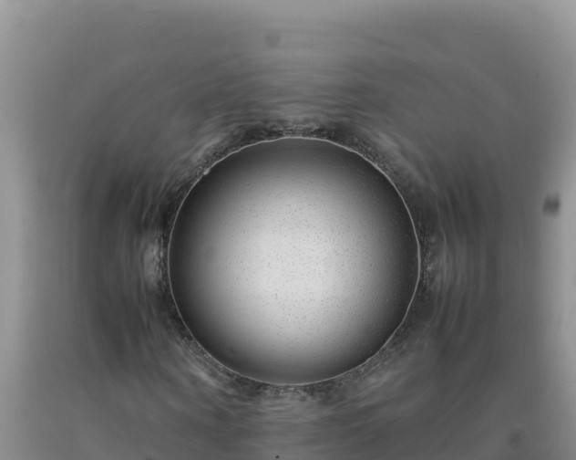 X0000092100866200709191305