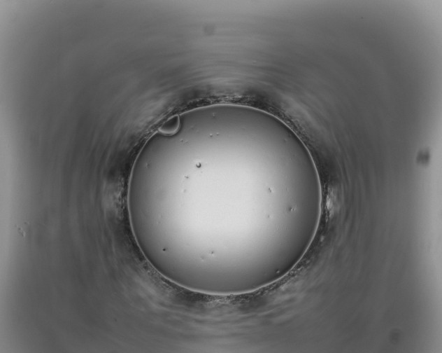 X0000092100867200709191305