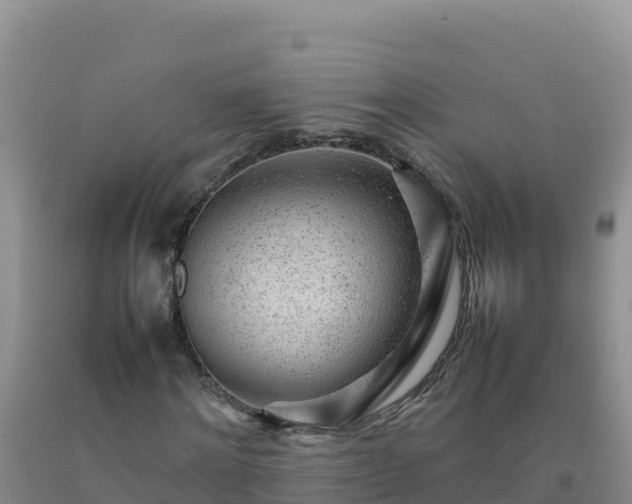 X0000092100868200709191305