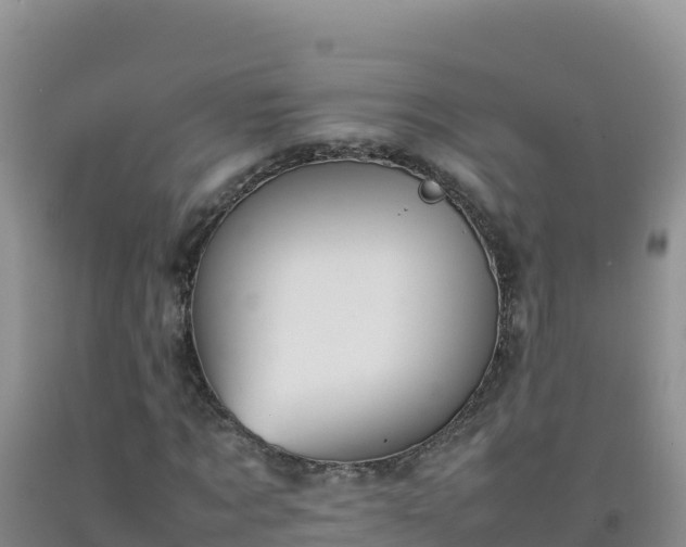 X0000092100869200709191305