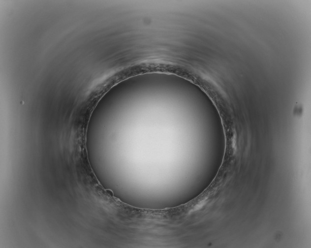 X0000092100870200709191305