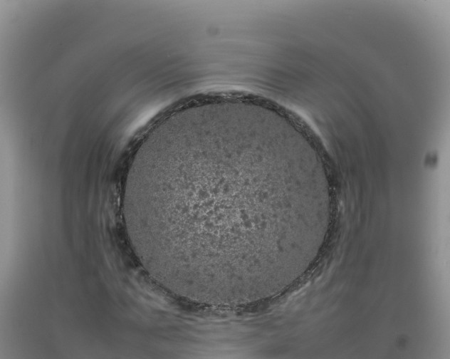 X0000092100871200709191305