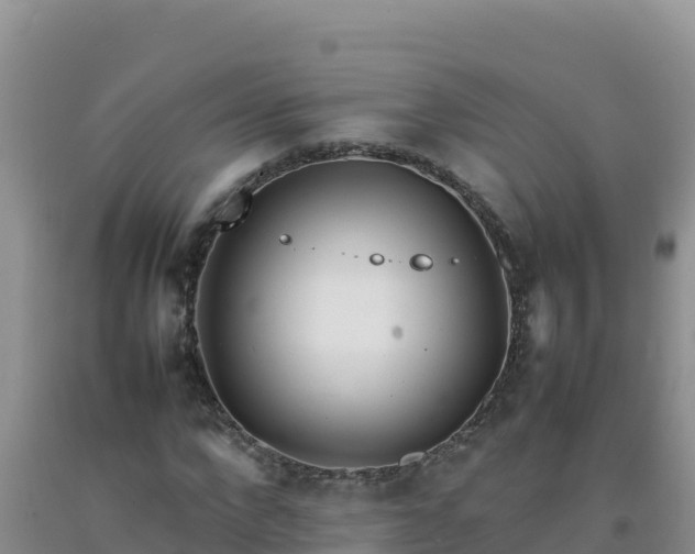 X0000092100872200709191305