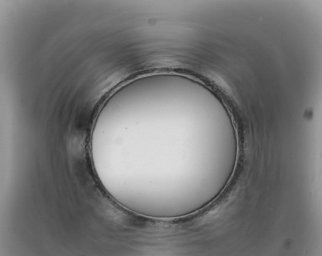 X0000092100873200709191305