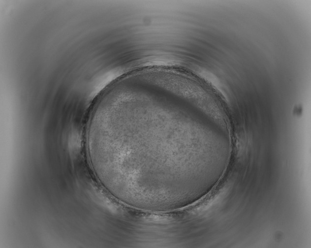 X0000092100874200709191305