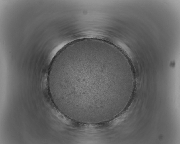 X0000092100875200709191304