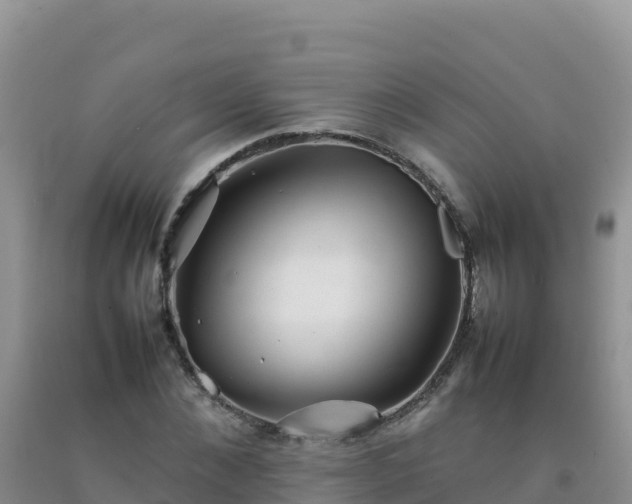 X0000092100876200709191304