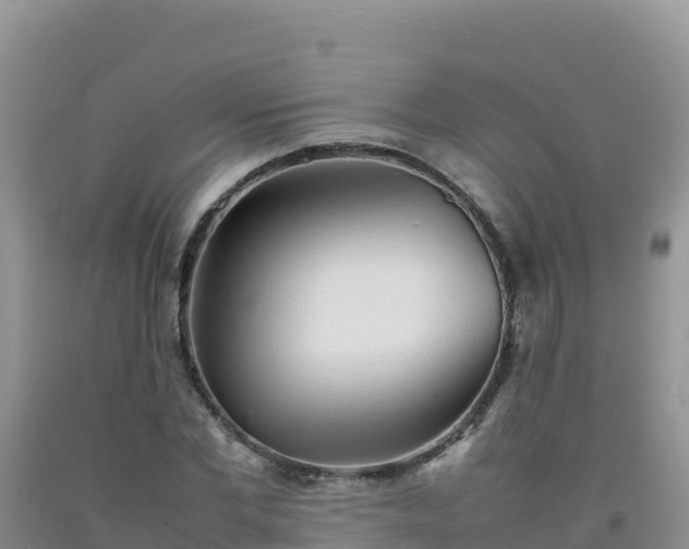 X0000092100877200709191304