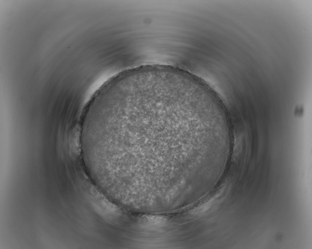 X0000092100878200709191304