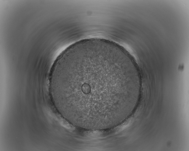 X0000092100879200709191304