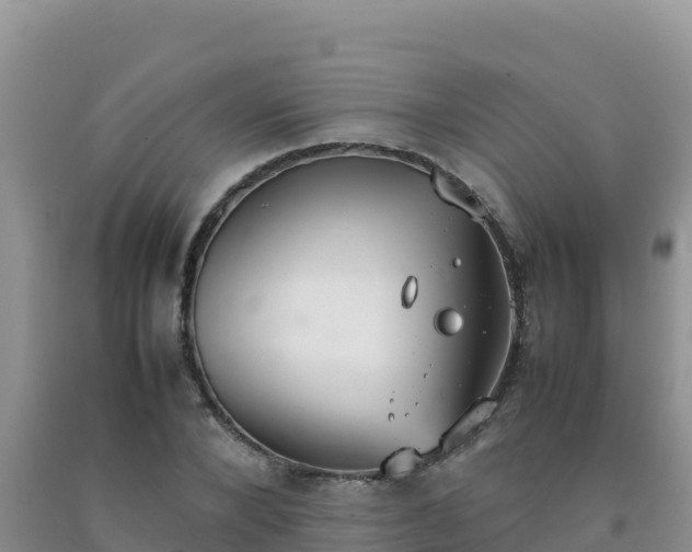 X0000092100880200709191304