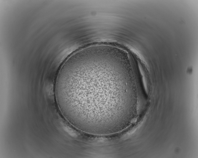 X0000092100881200709191304