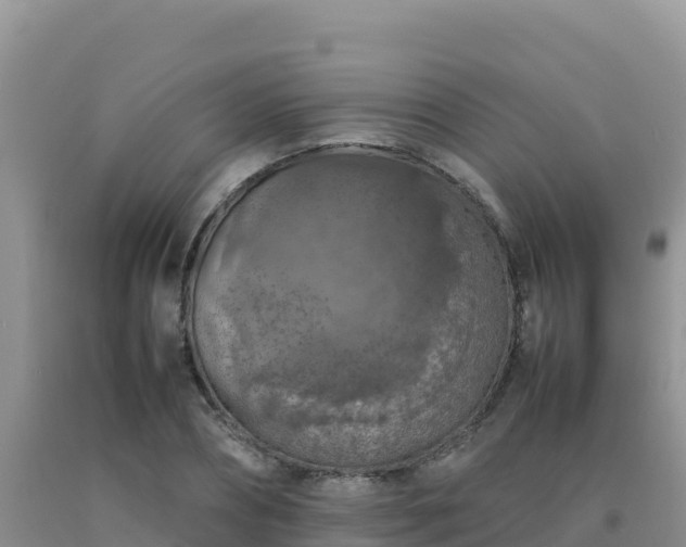 X0000092100882200709191304