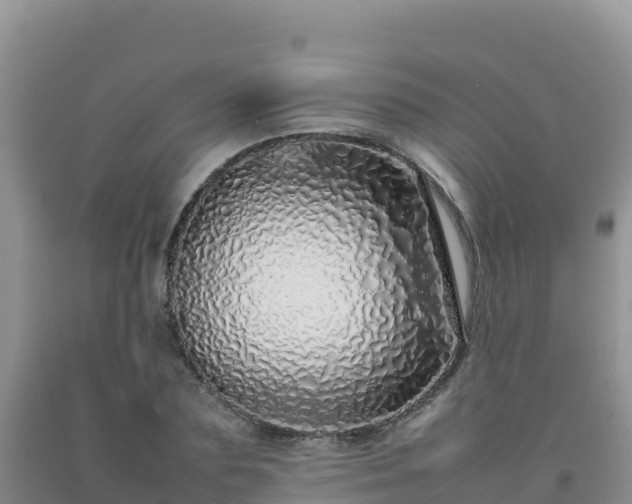 X0000092100883200709191304