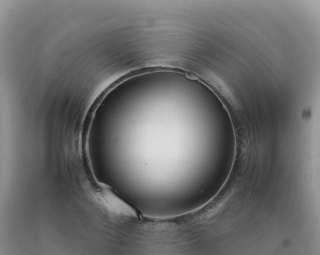 X0000092100884200709191304