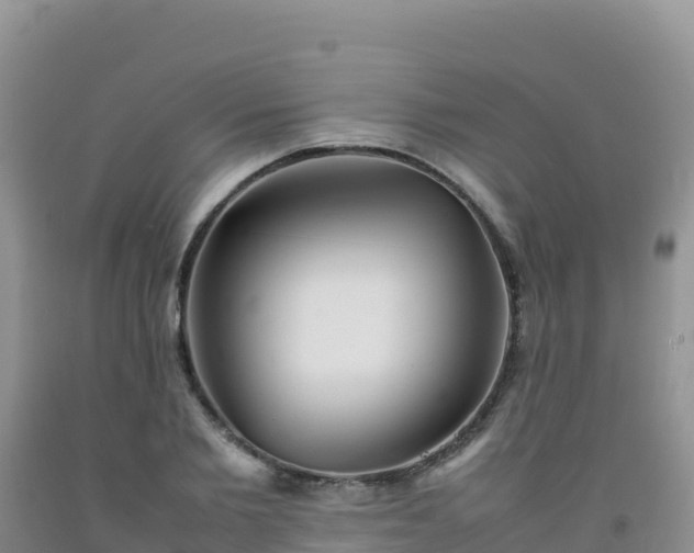 X0000092100885200709191304